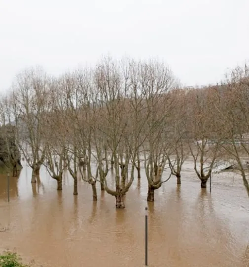 Deutschland fällt beim Klimaschutz zurück