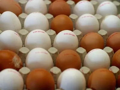 Eierverbrauch und -import im vergangenen Jahr gestiegen