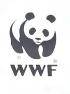 WWF kritisiert Bericht zur Elektromobilität