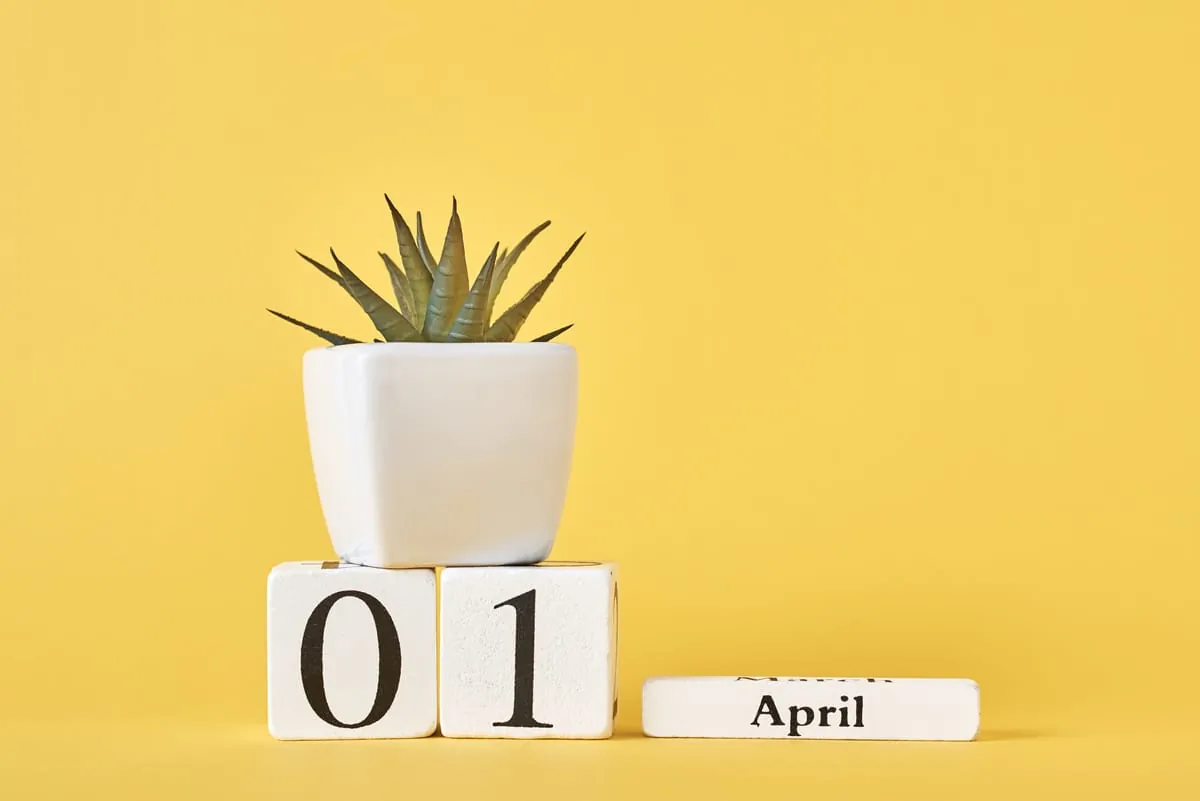 Änderungen und neue Gesetze im April 2020