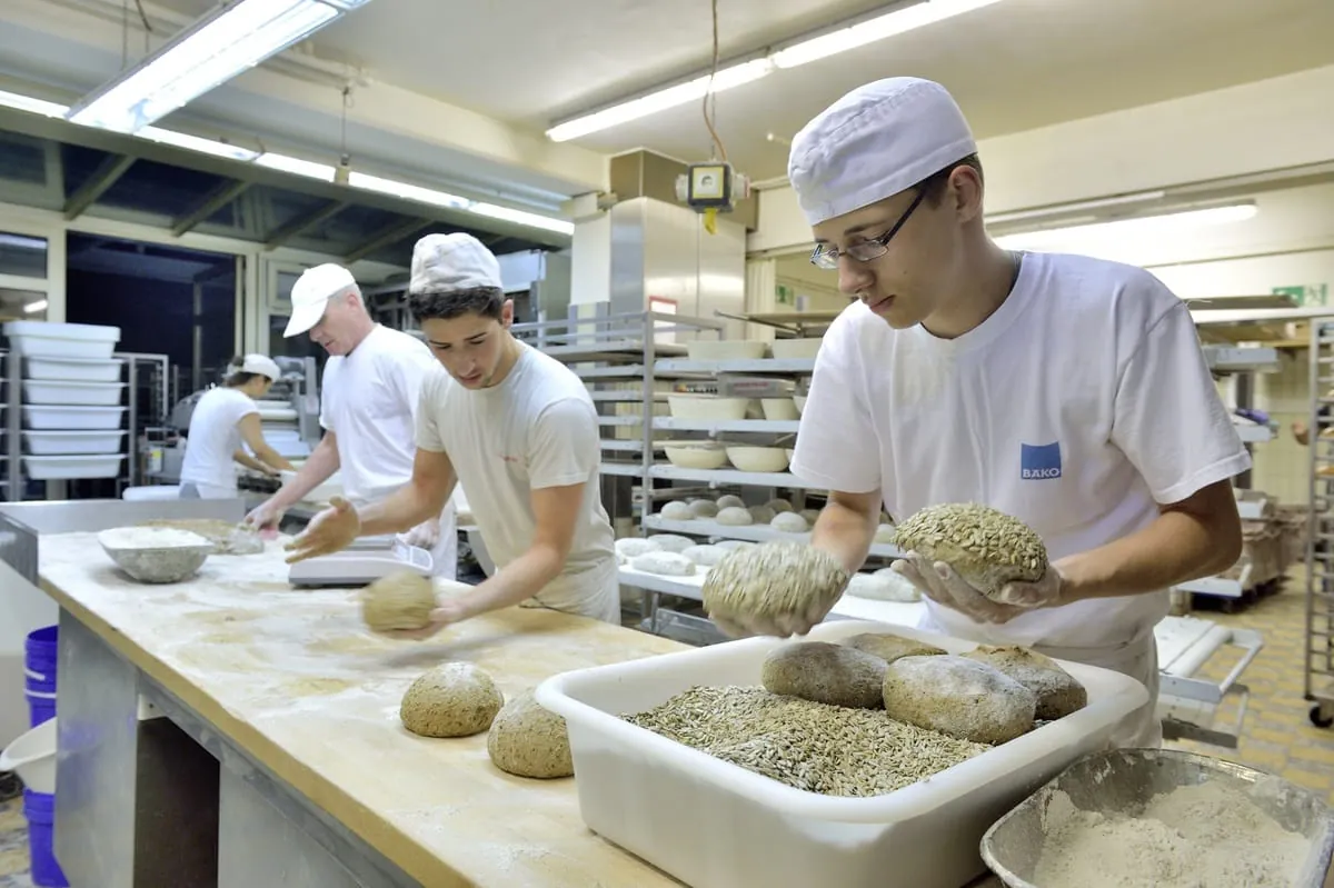 Mehr neue Ausbildungsverträge