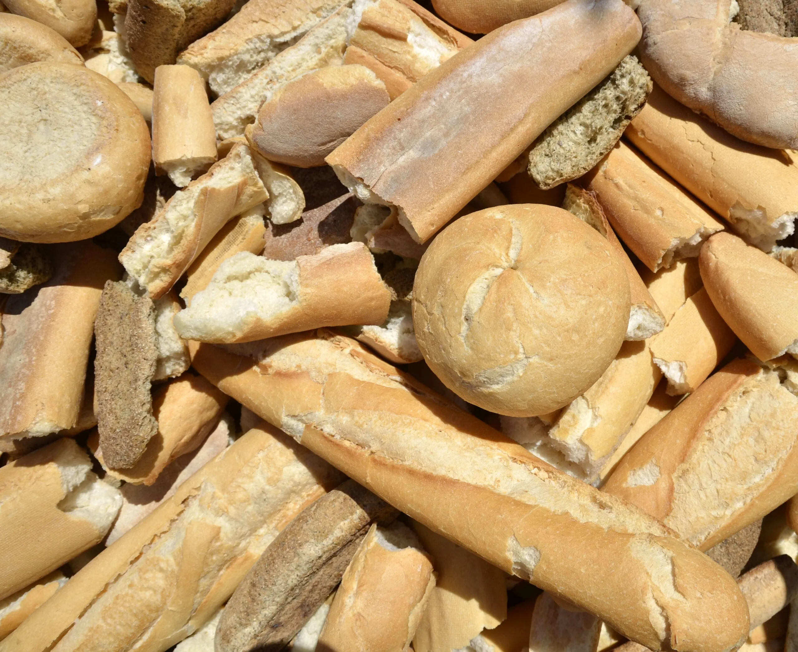 Zu viel Brot landet im Müll