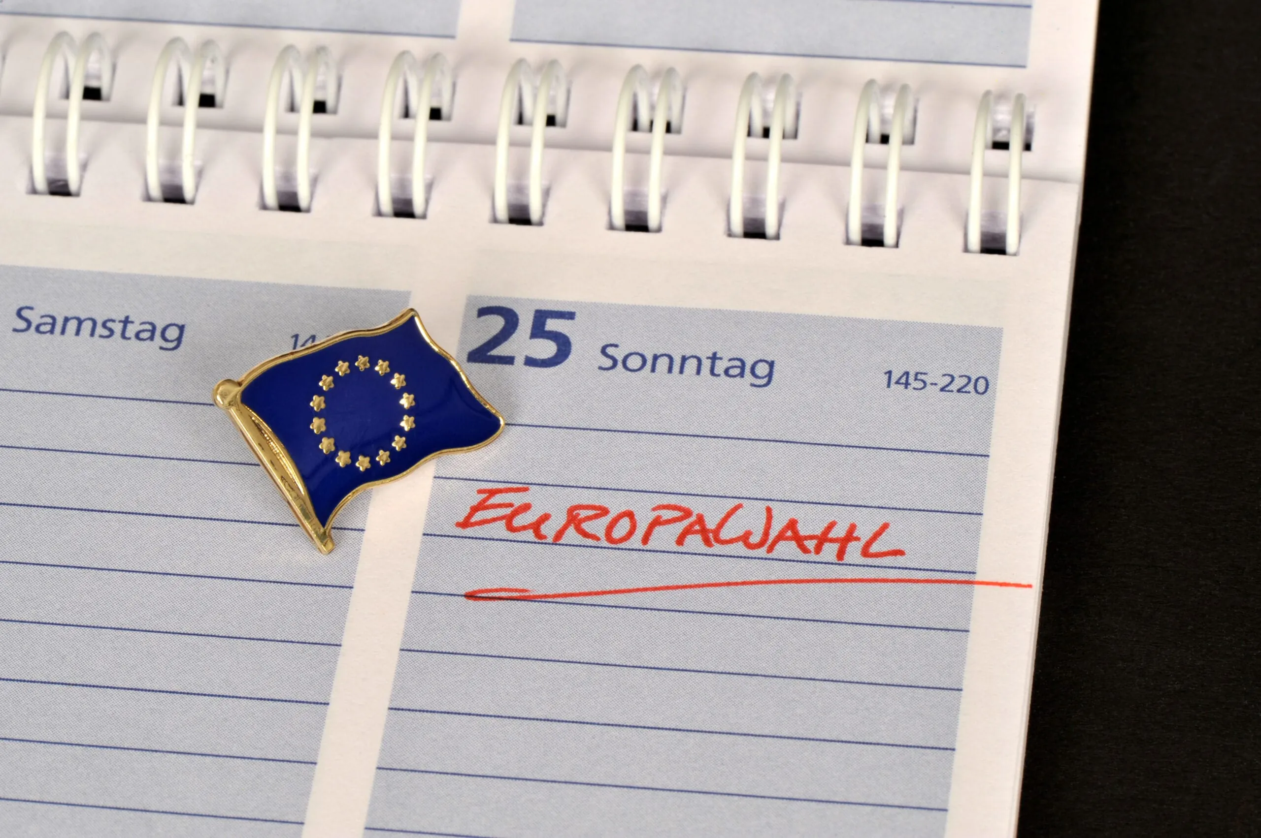NPD & Co: Ohne Hürden ins Europäische Parlament
