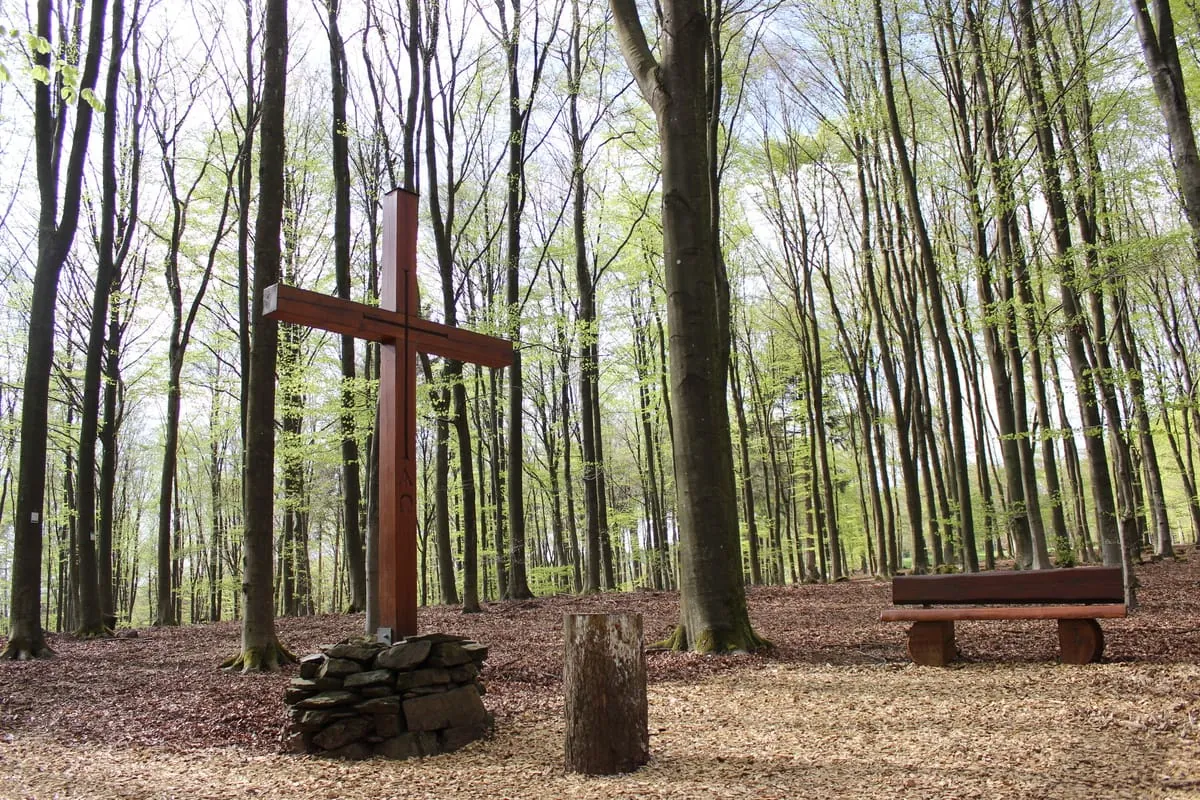 Trend zur Feuerbestattung geht weiter