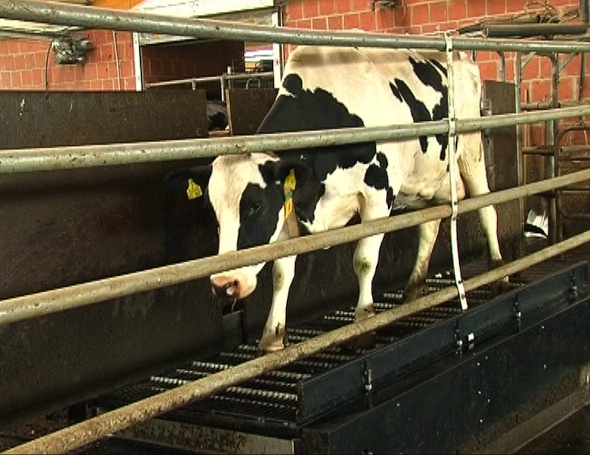 Zusammen stark: Landwirtschaft und Handwerk