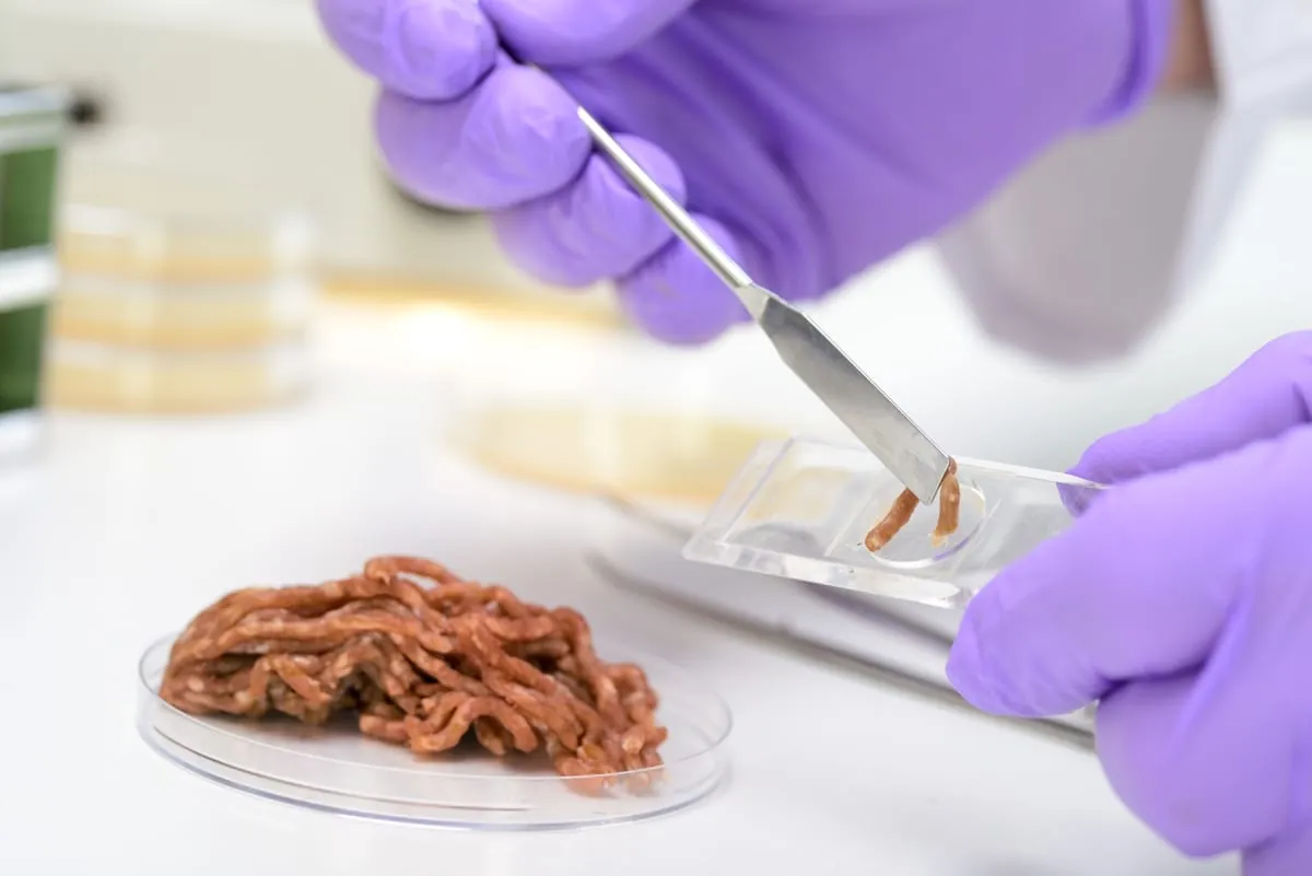 Lebensmittelbetrug: Regelkontrollen bleiben kostenfrei