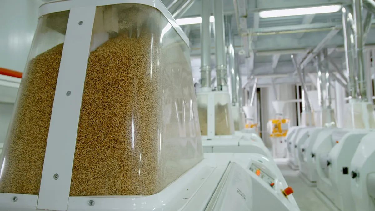 Lebensmittelverschwendung: Besserer Vorratsschutz soll helfen