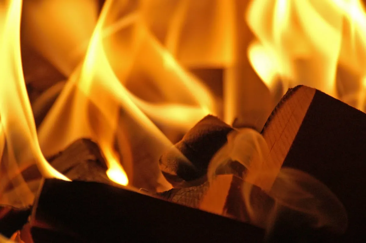 Wälder in Gefahr: Wie schädlich ist das Heizen mit Holz?