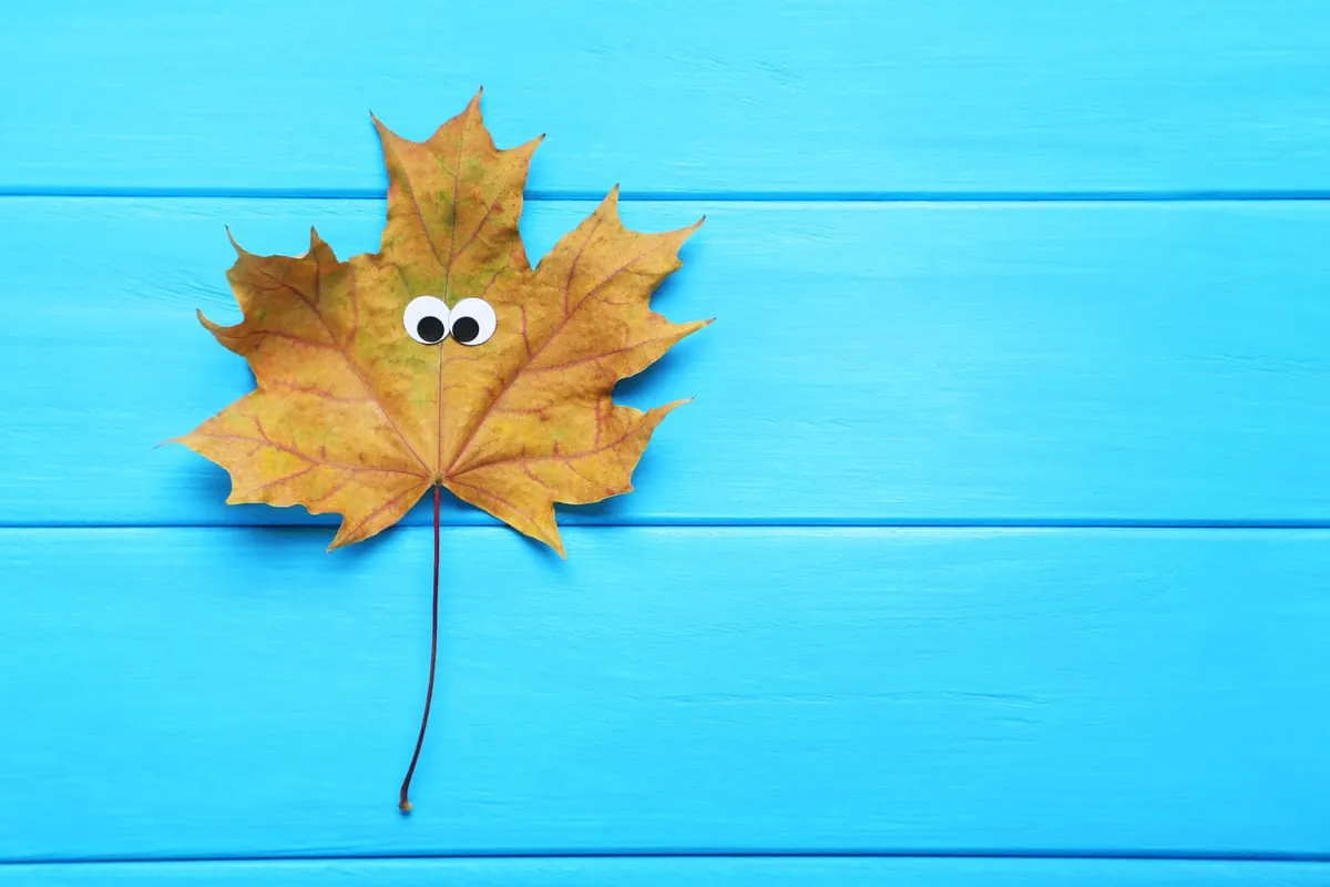 Änderungen im Oktober 2017: Neue Gesetze und Regelungen