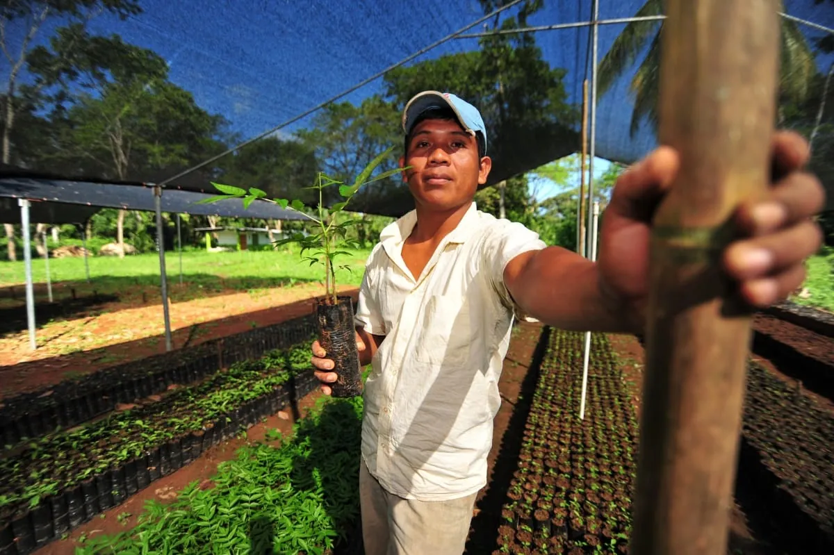Schornsteinfeger unterhalten Schutzwald in Panama