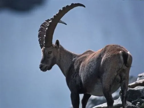 Naturpark Kaunertal: Eine einmalige Initiative