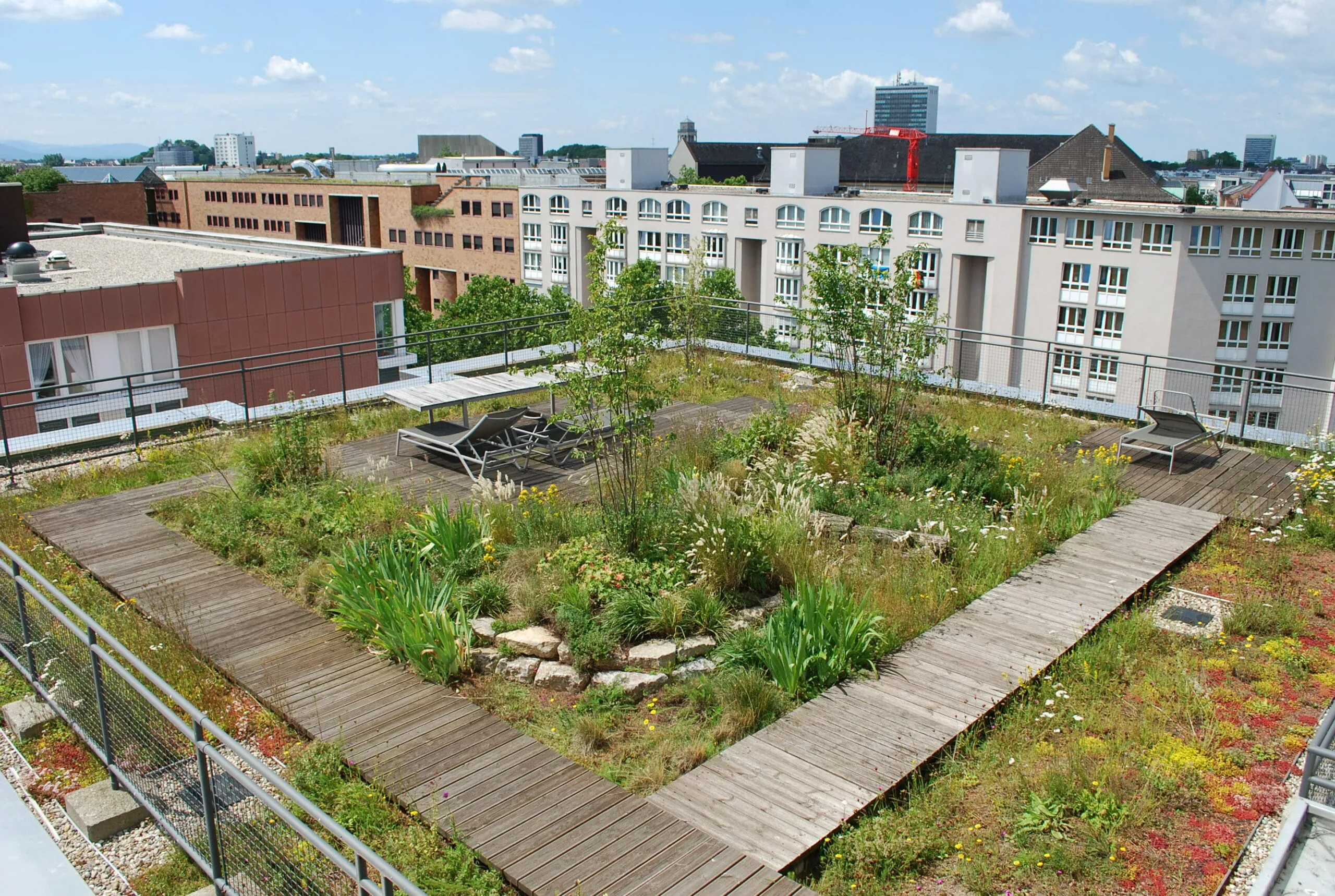 Klimaschutz: Reichlich Potenzial für grüne Dächer