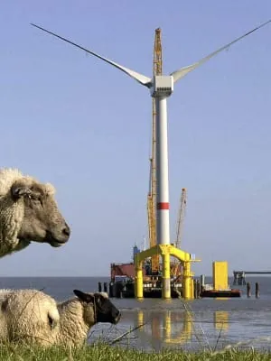 Baubranche erwartet Milliarden-Geschäft durch Offshore-Windparks