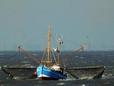 Krabbenfischer beenden Fangstopp