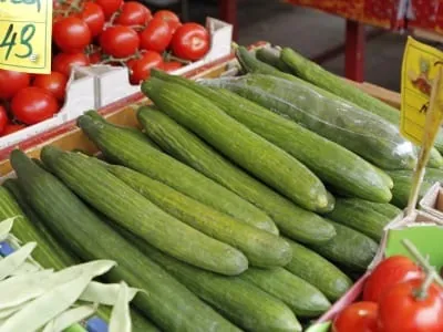 Gemüsebauern bleiben auf Gurken und Tomaten sitzen