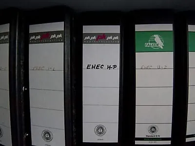 EU: Deutschland muss mehr zur Suche des EHEC-Erregers tun