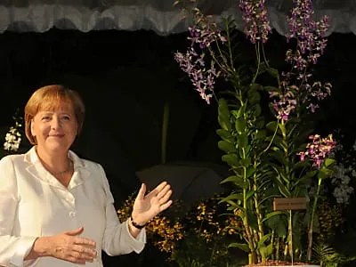 Merkel macht sich in Asien für den Euro stark
