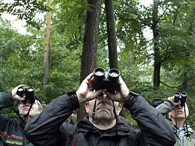 Förster bewerten Baumschäden für Waldzustandsberichts 2011