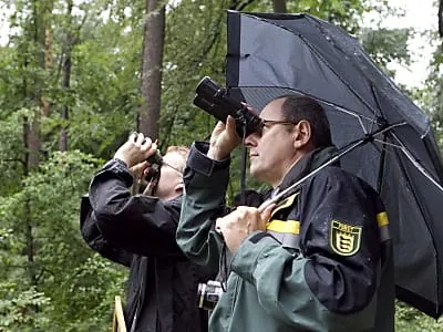 Förster bewerten Baumschäden