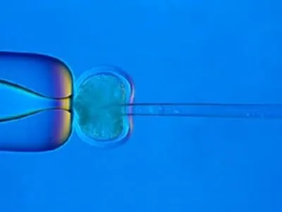 Rückendeckung für den Bundestag