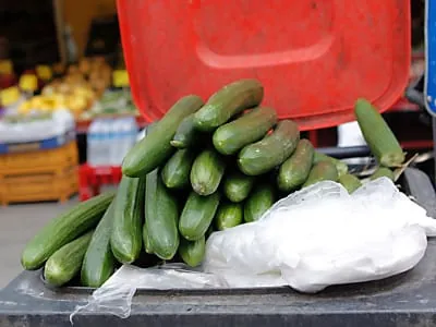 Bauernverband beziffert Schaden durch EHEC auf 75 Millionen Euro