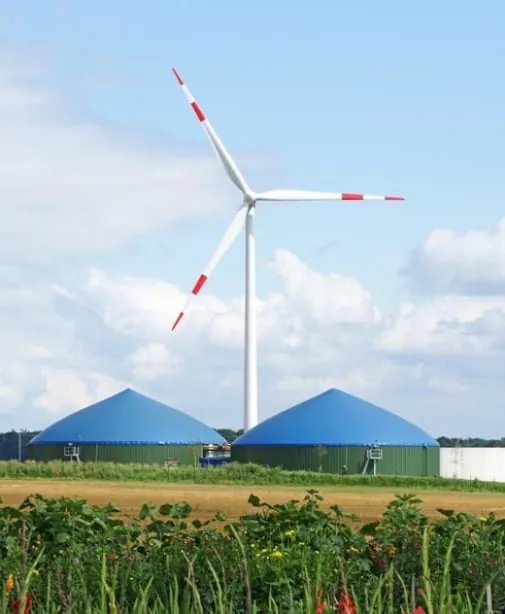 Der Osten profitiert besonders