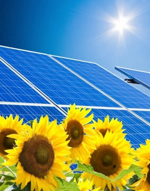 Ökostrom wird geringfügig teurer