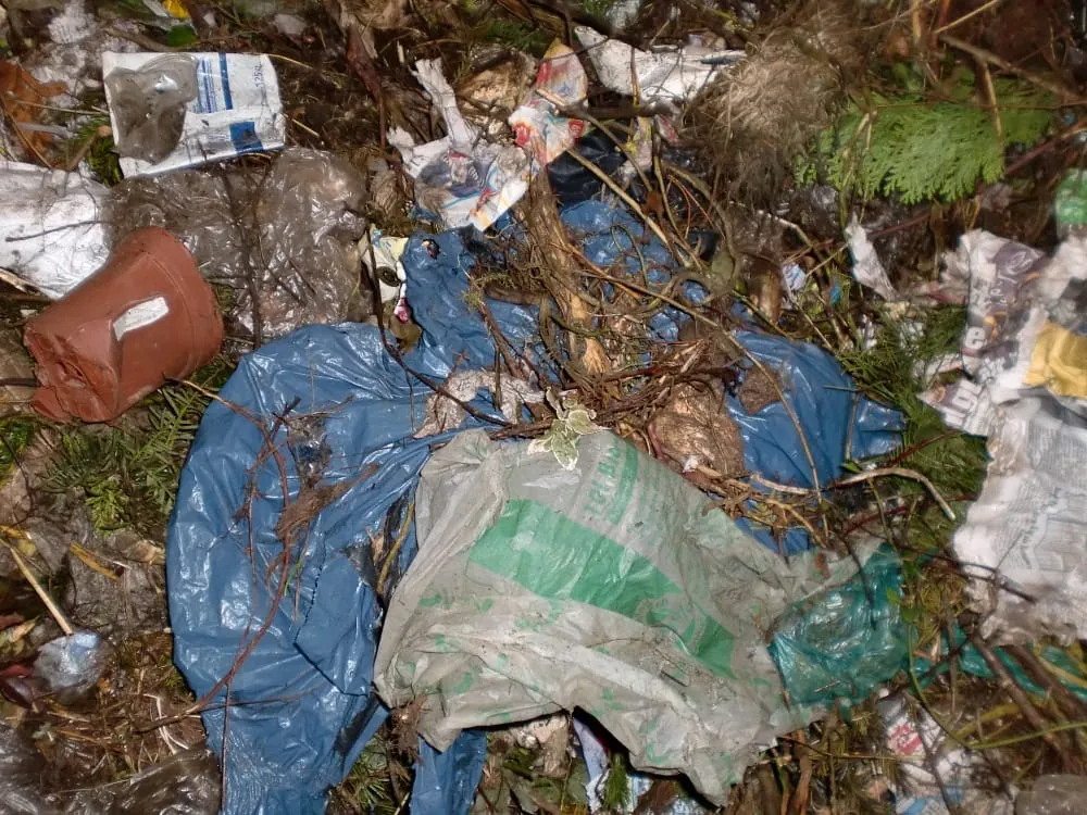 Kompostierbare Plastiktüten werden nicht recycelt