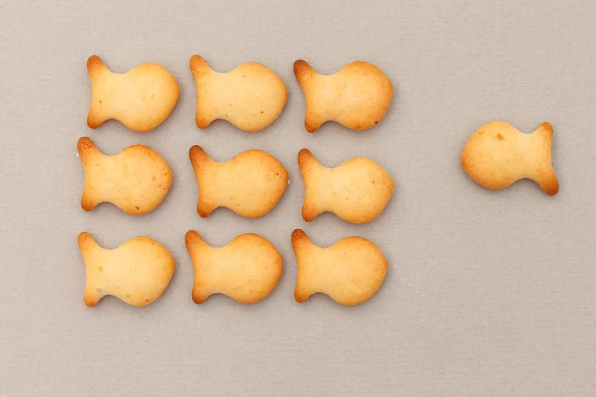 7 Marketing-Ideen für den kleinen Geldbeutel