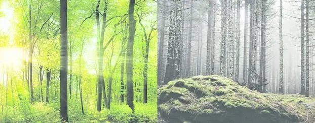 Steuermodernisierungsgesetz: Licht und Schatten