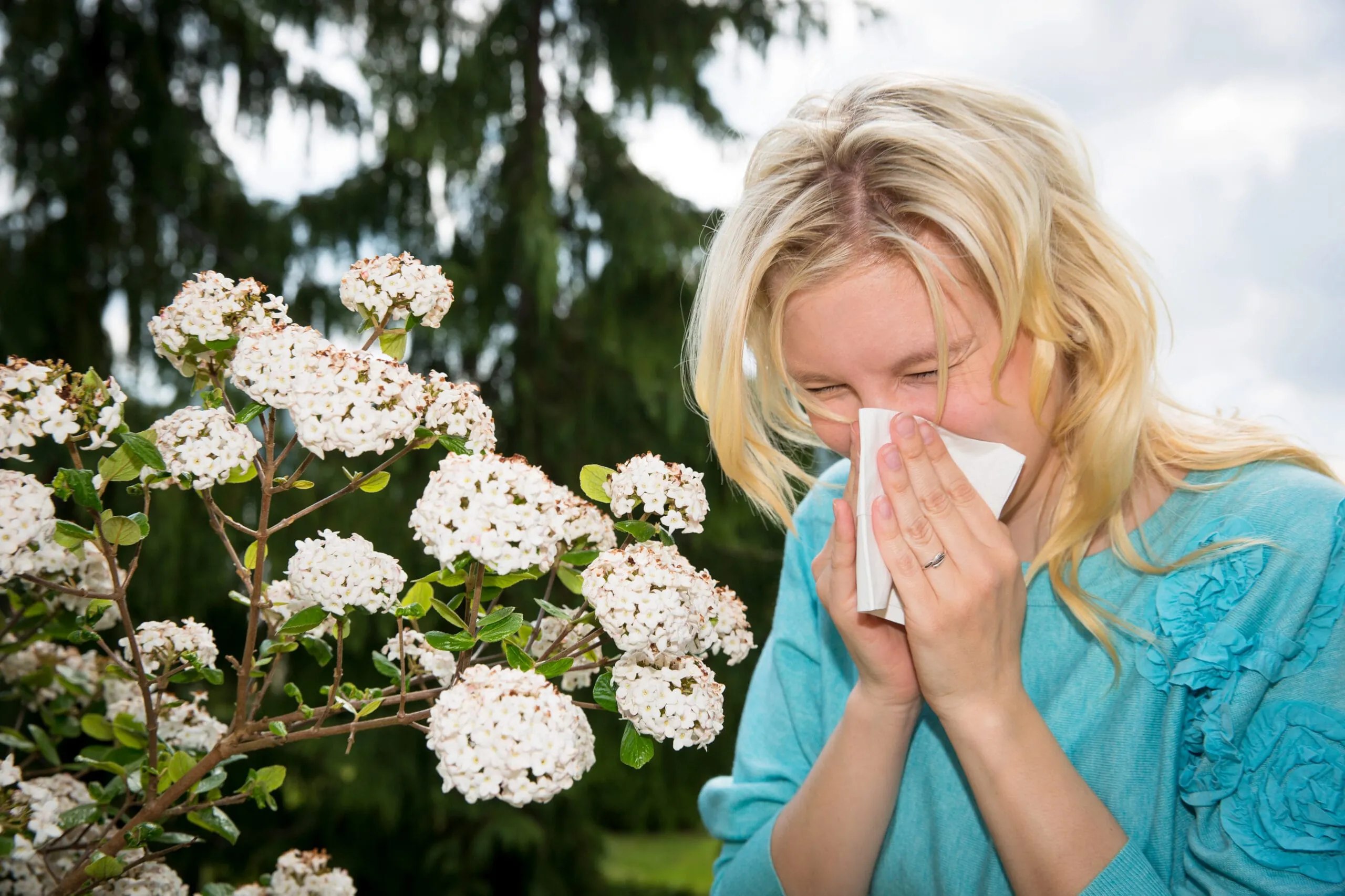 Heuschnupfen wirkt wie 0,5 Promille Alkohol