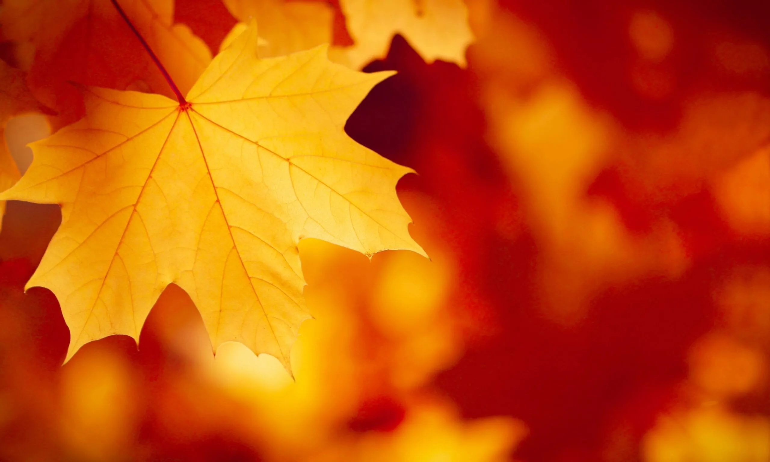 Sanierungsstau blockiert Aufschwung