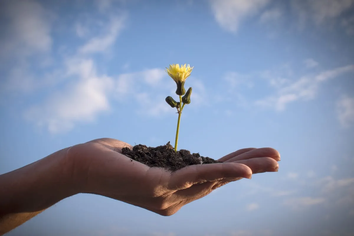 So führen Sie Ihren Betrieb nachhaltig