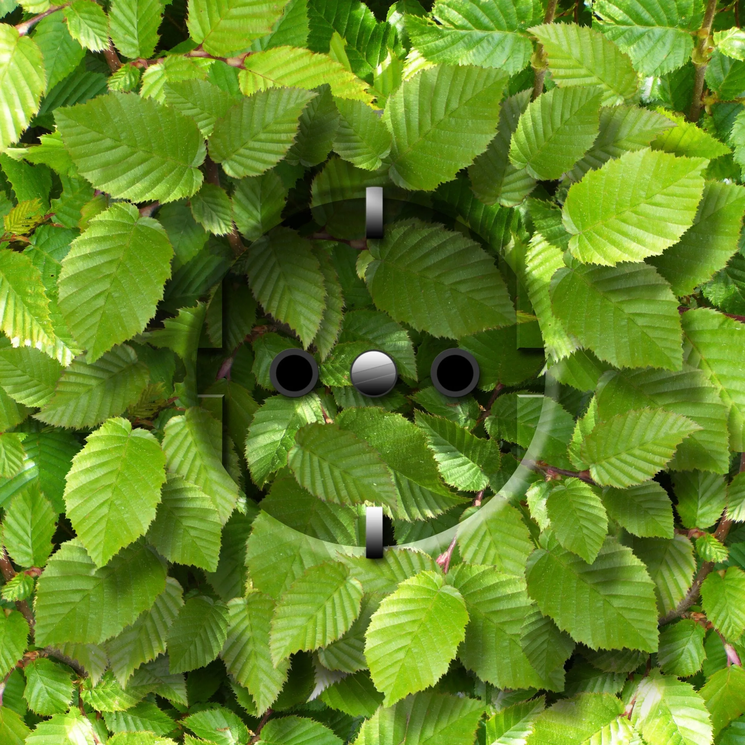 Wie viel Förderung braucht die Energiewende?