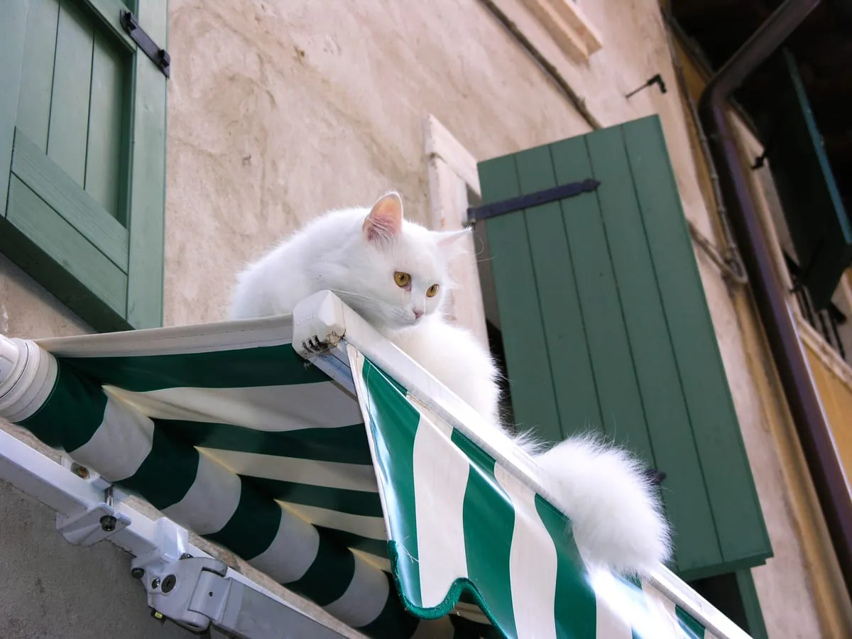 Urheberrecht: Wann Produktfotos auf der Homepage erlaubt sind