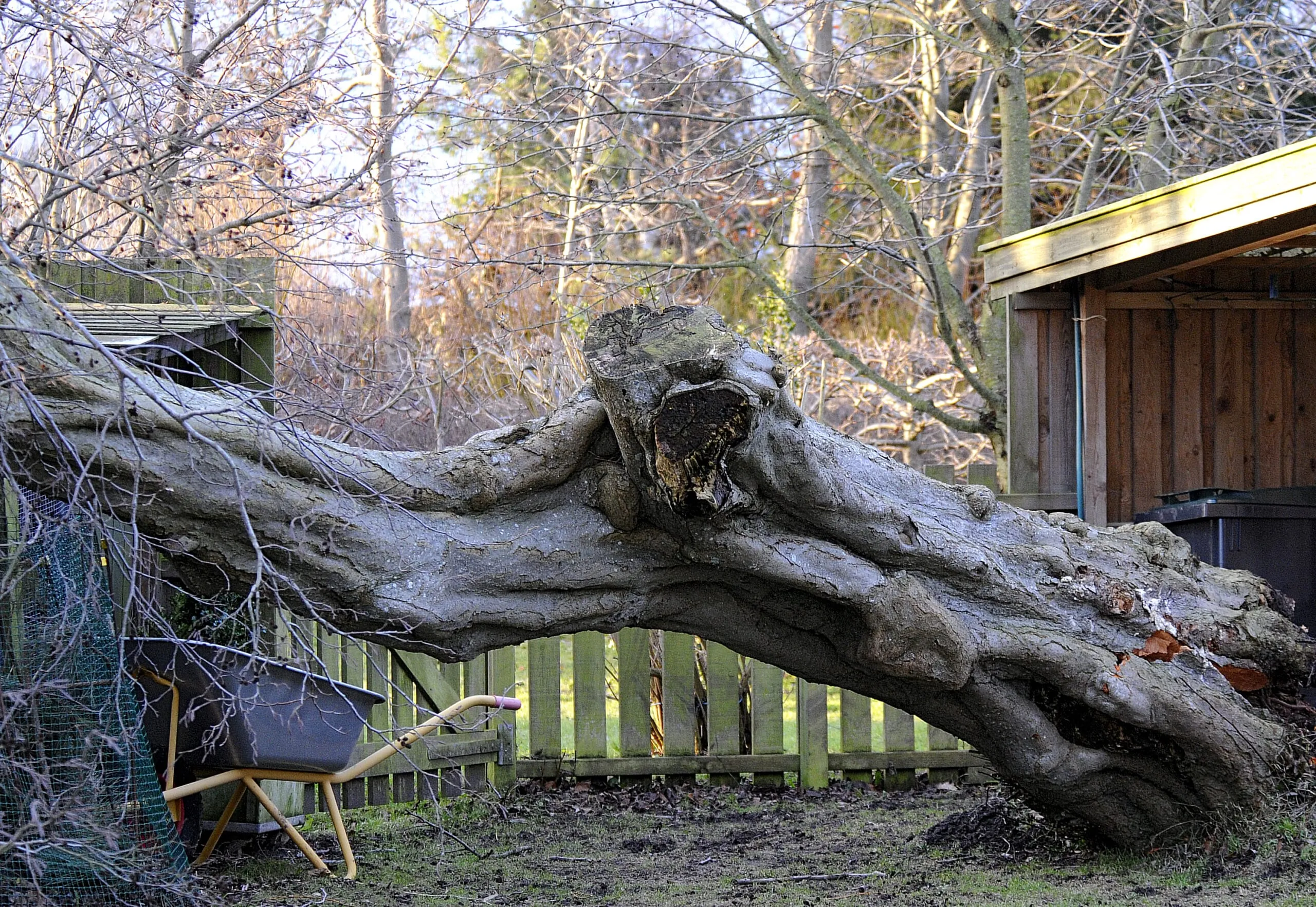 Sturmschäden: Drei Tipps für Versicherte