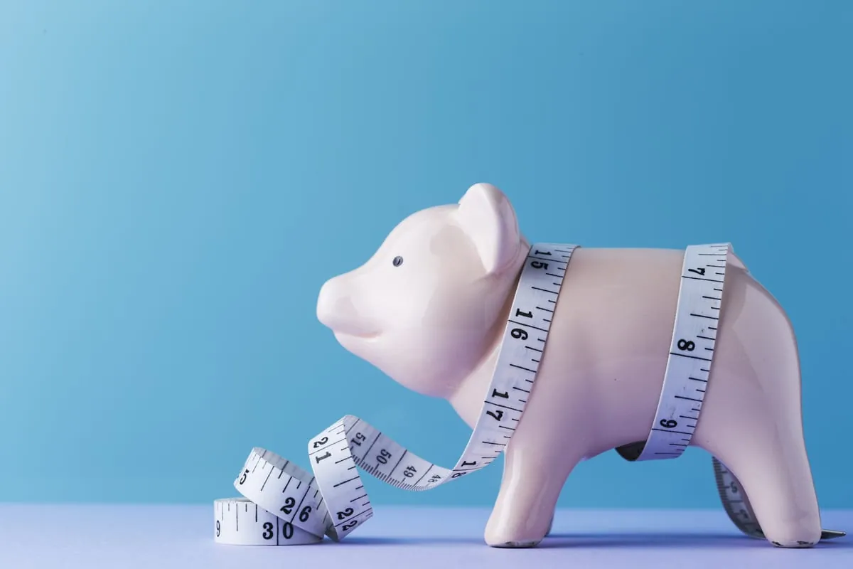 Scholz kündigt höhere Investitionen an