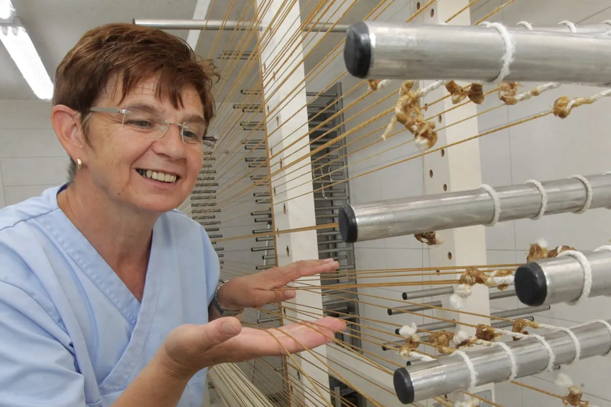 Wie eine Spätberufene das Saitenmacher-Handwerk aufrechterhält