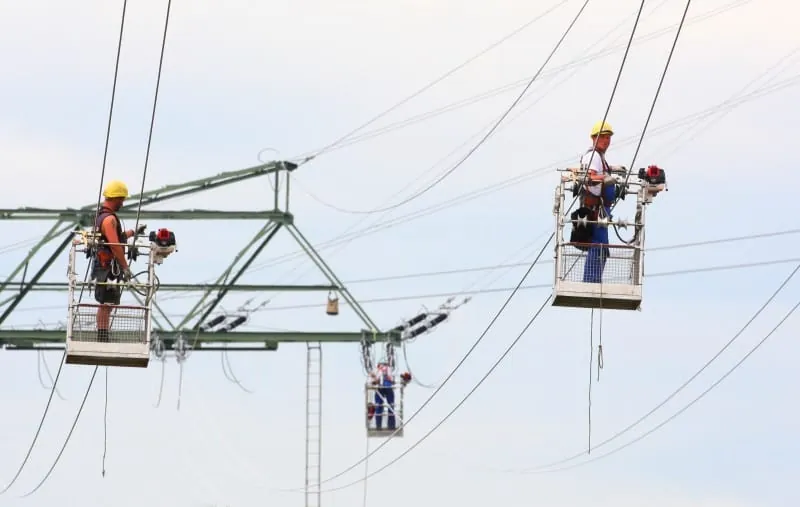 Rösler will Umweltstandards für den Netzausbau außer Kraft setzen