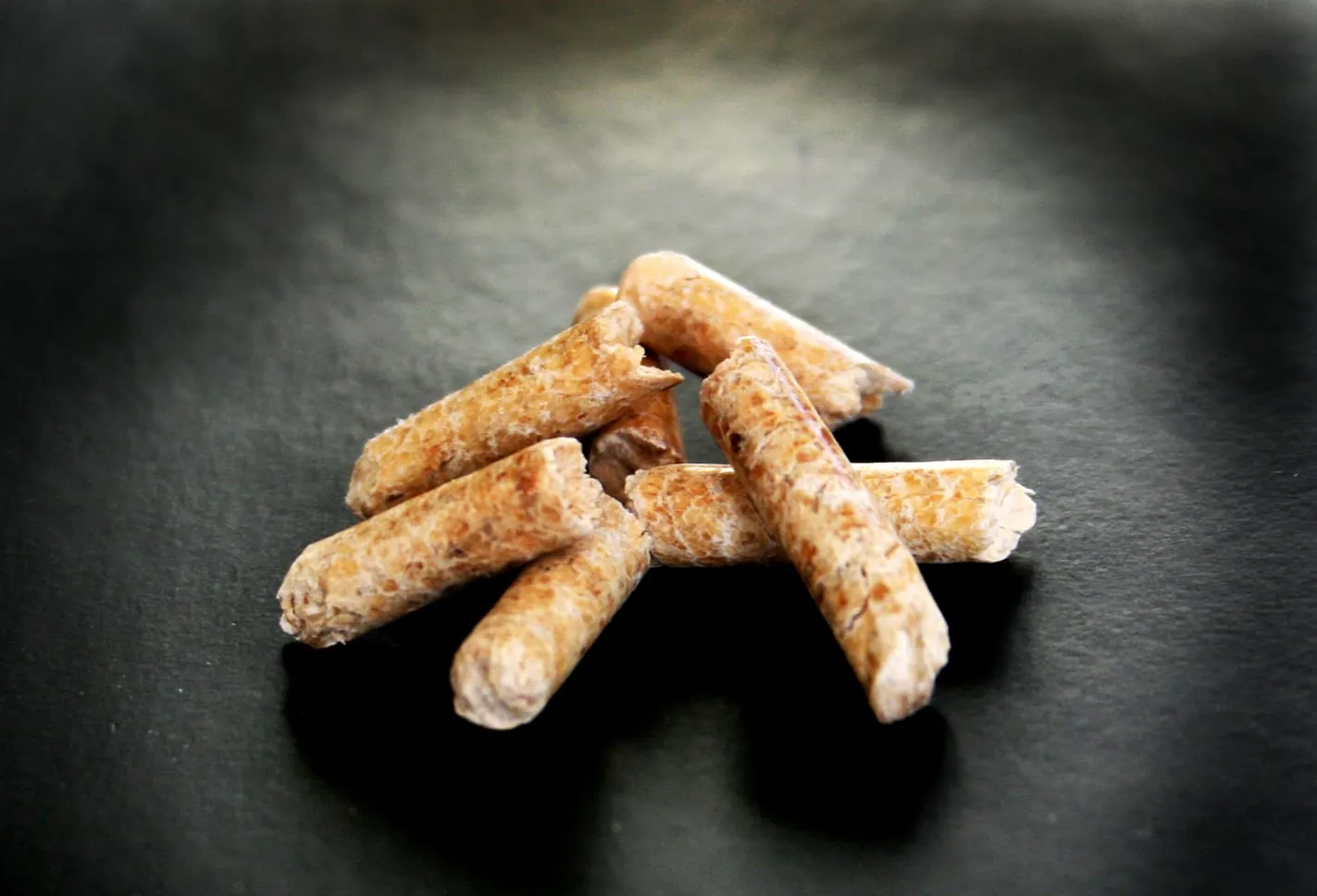 Deutschland ist Europameister bei der Produktion von Holzpellets