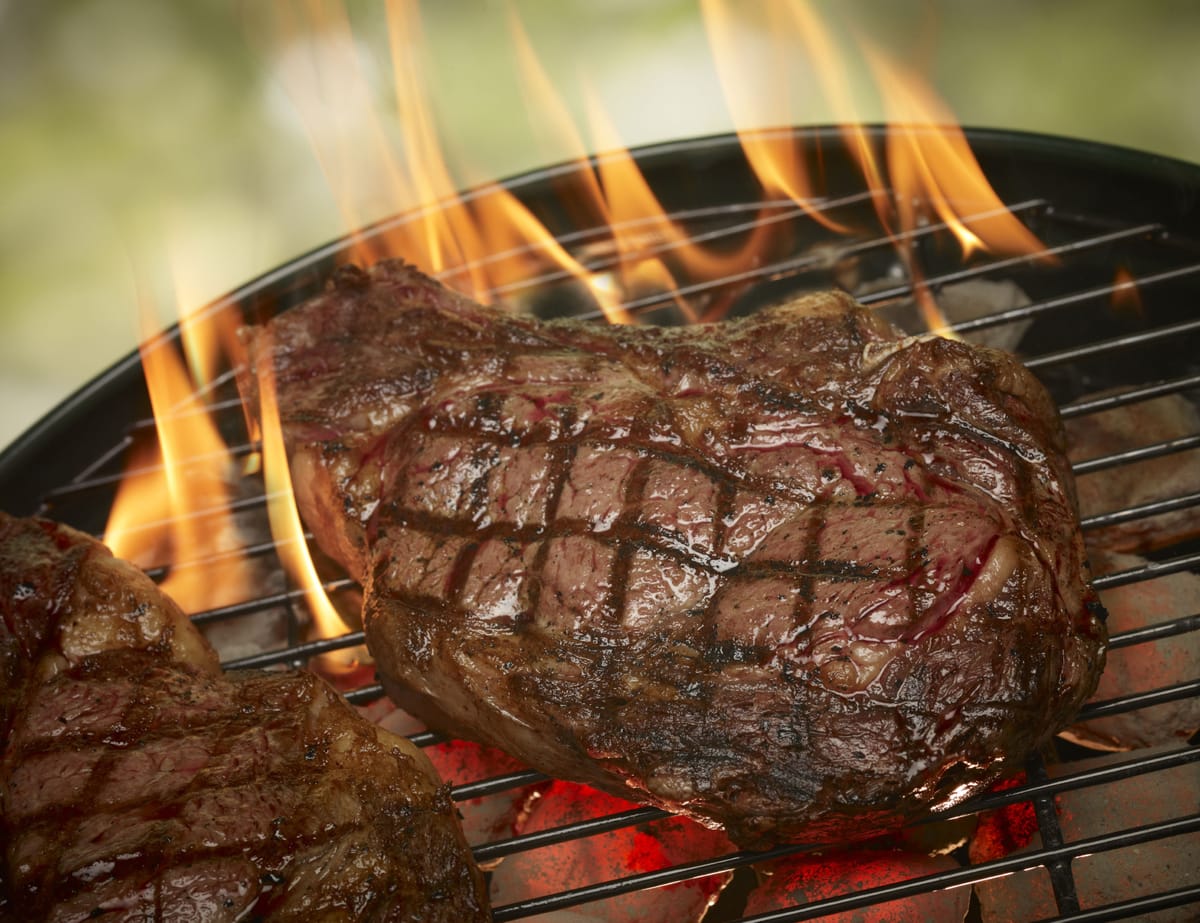 Die beliebtesten Grills der Deutschen - dhz.net