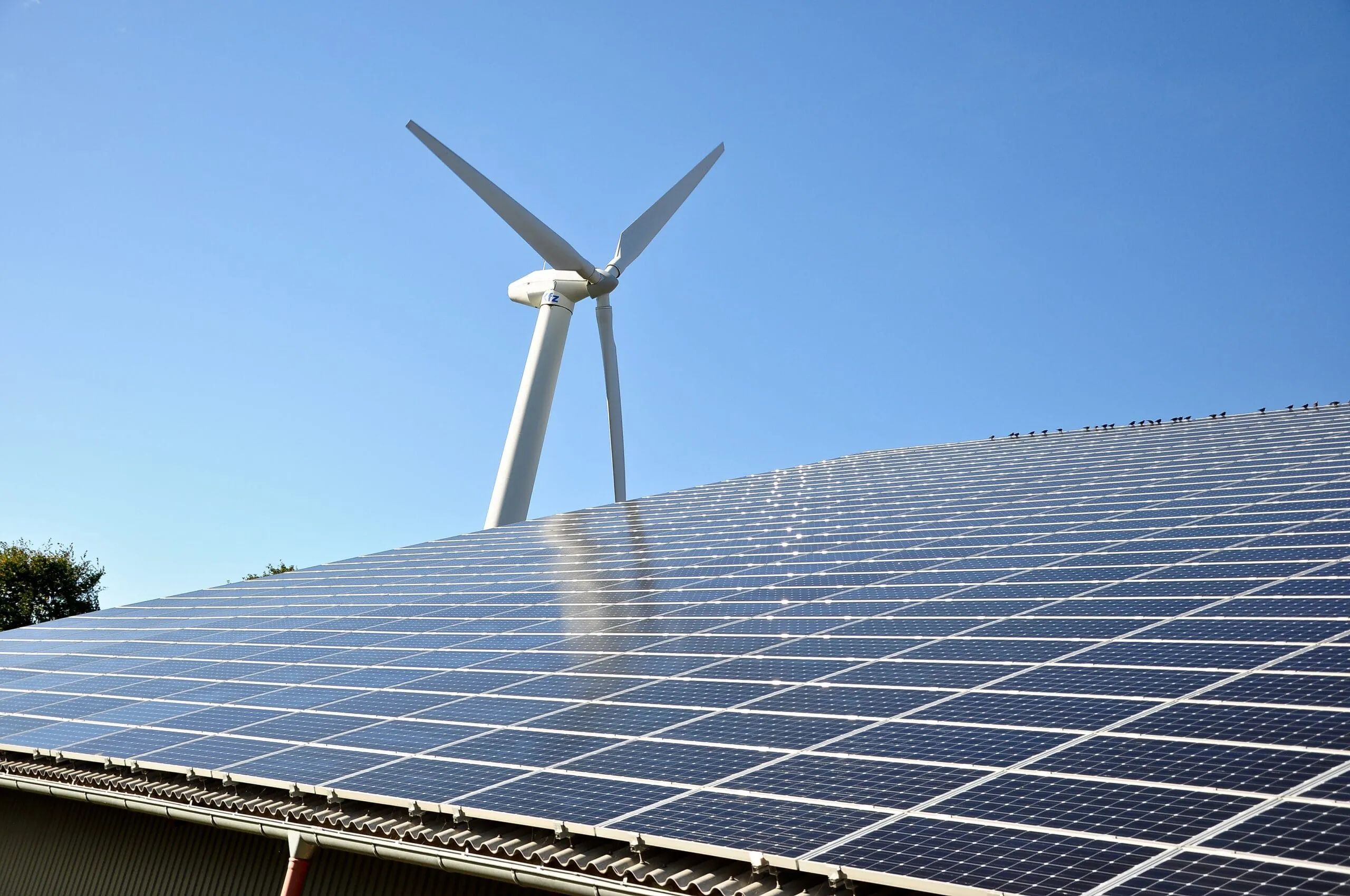 Ökostrom: Aigner will Preisbremse auf Pump