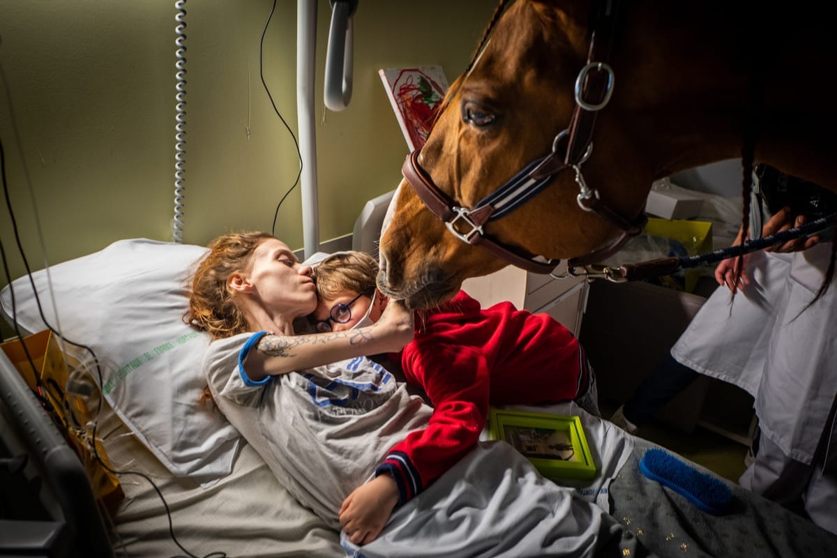 Tiertherapie auf einer Palliativstation