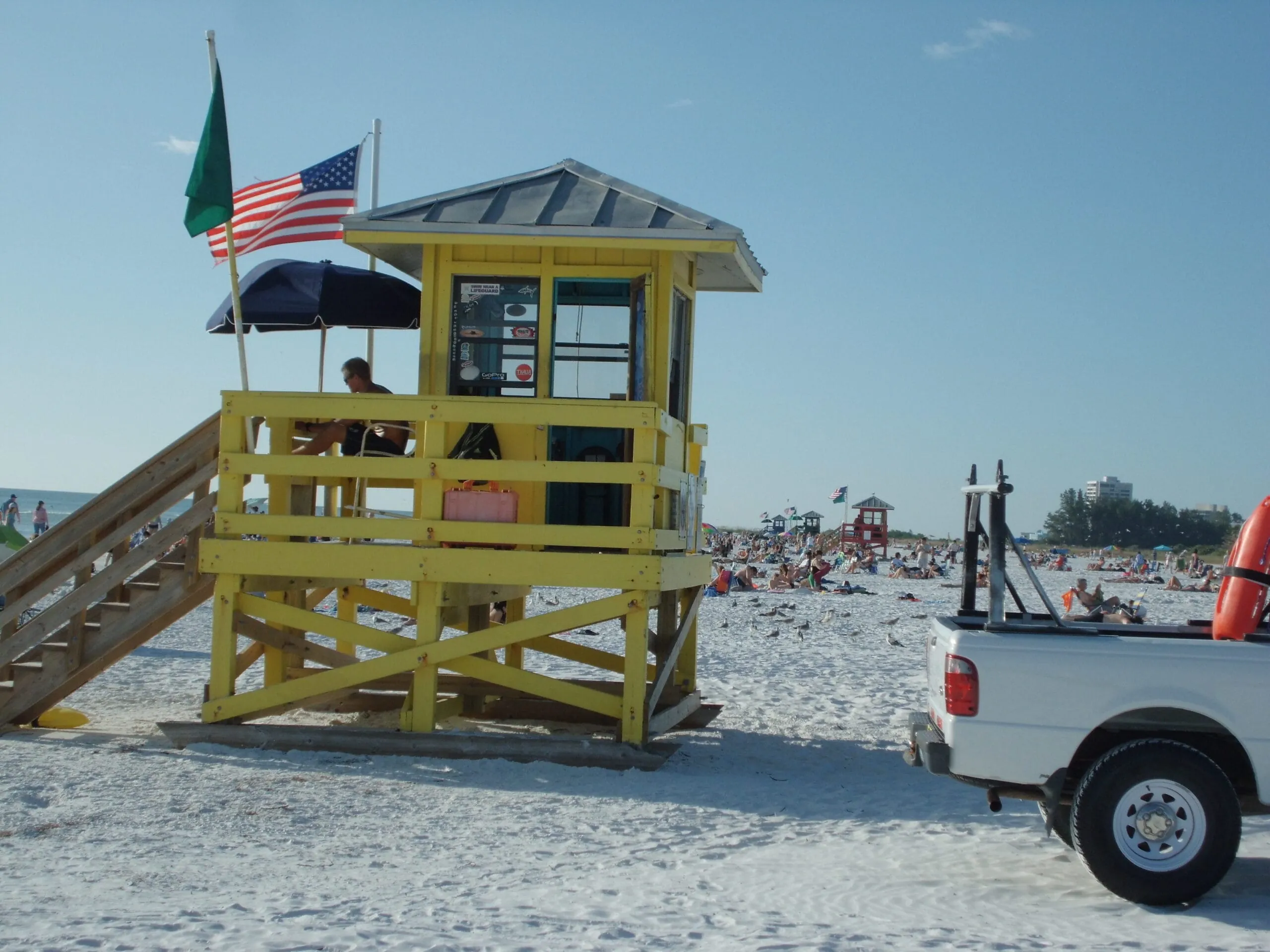 Delfine beobachten vor Sarasota