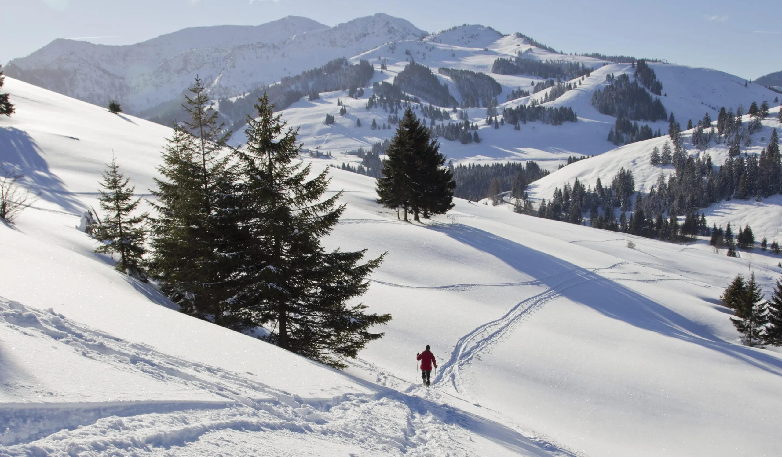 Auf Schneeschuhen die Natur erleben