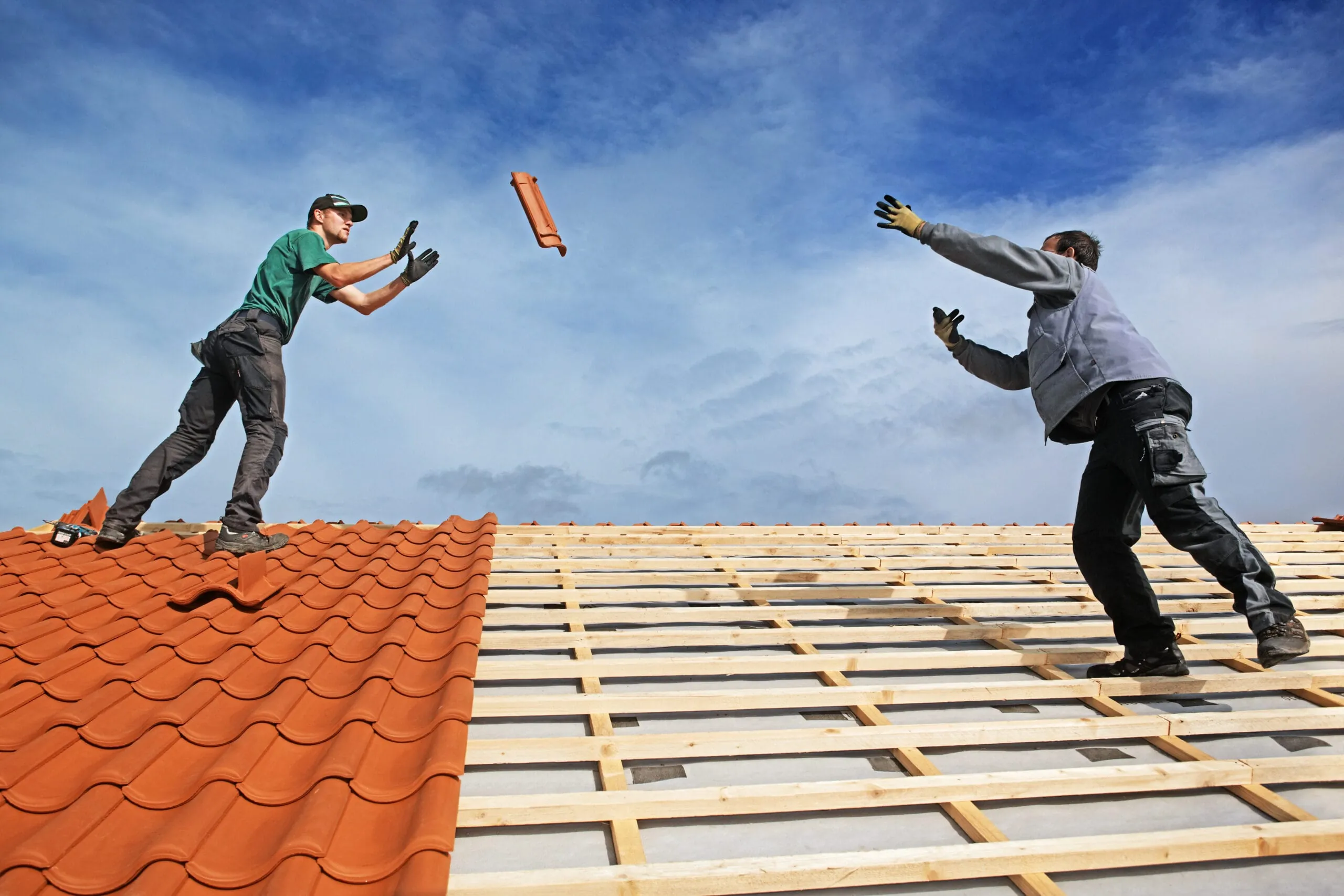 Recht kurz & bündig: Urteile in Bildern