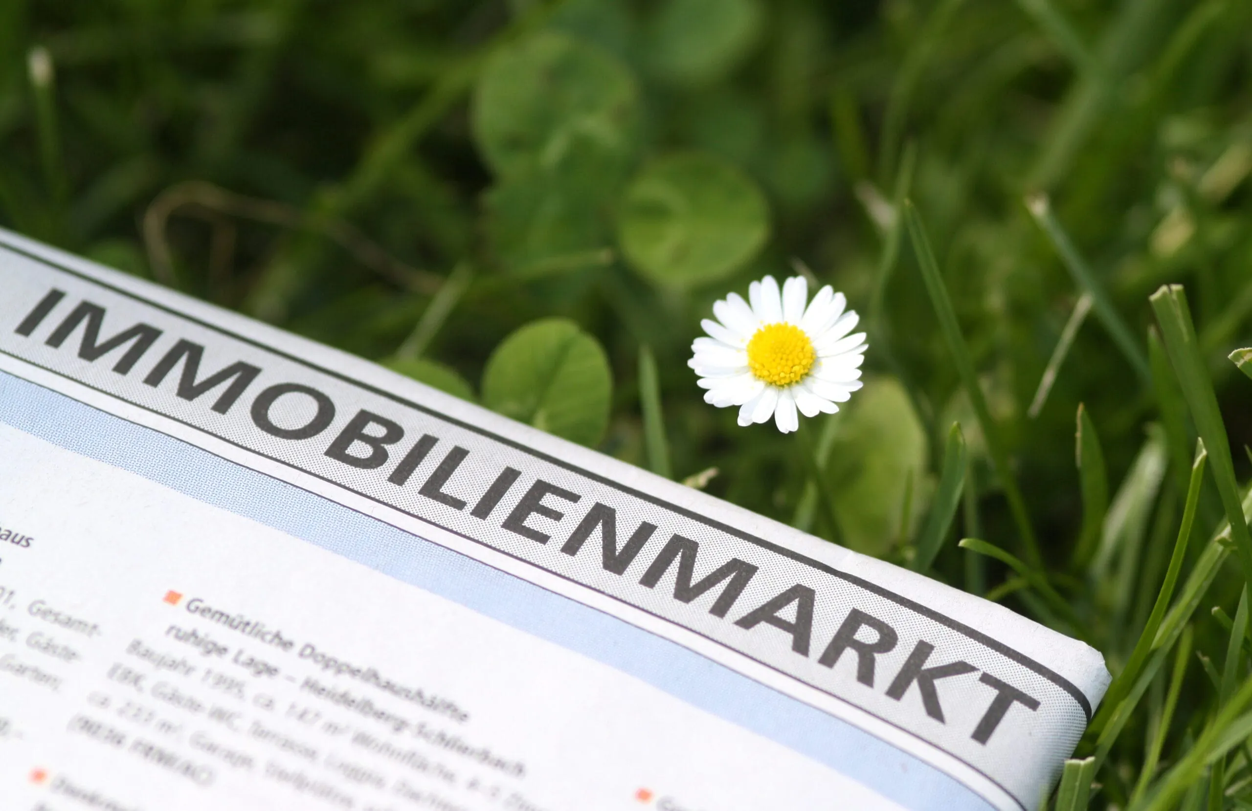 Provisionen müssen nicht genau angegeben werden