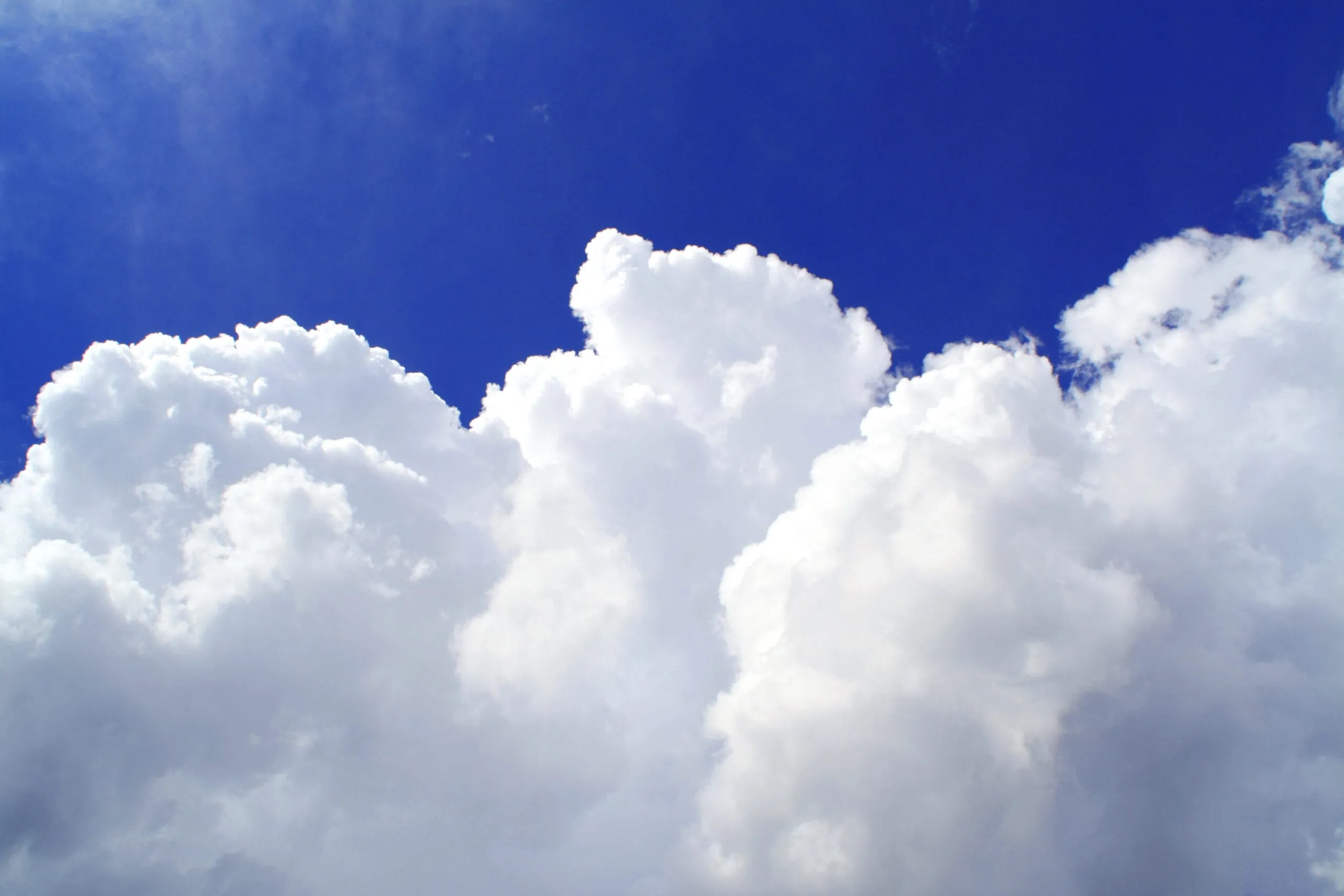 Softwarekonzern Adobe sattelt um auf Cloud-Lösungen