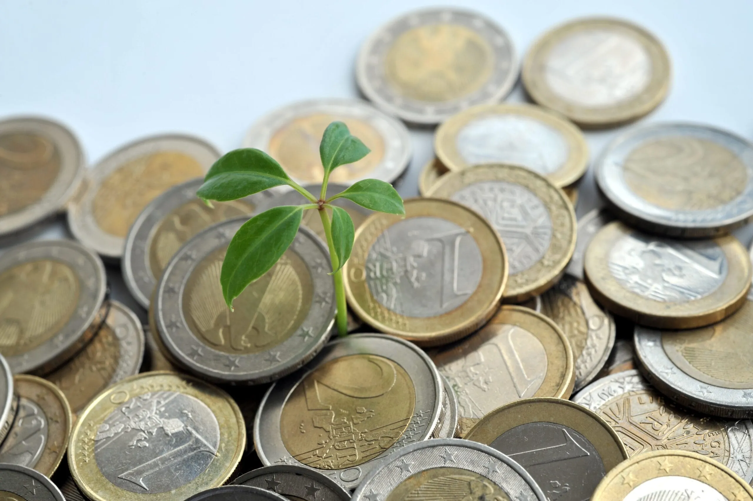 Anleger sollten sich nachhaltige Fonds gut anschauen