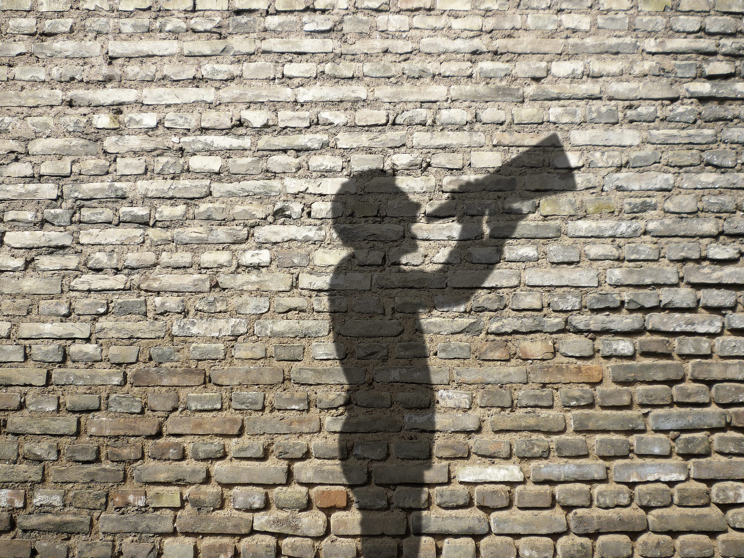 Kostengünstig werben mit Moskito-Marketing